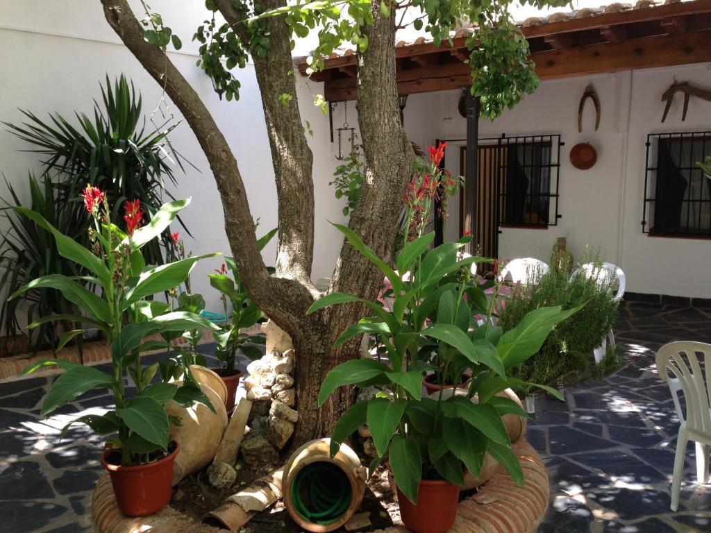Casa Rural El Rincon Del Infante Villa de Don Fadrique Zewnętrze zdjęcie